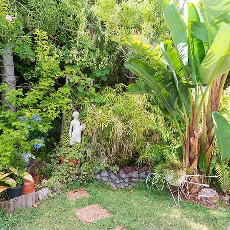 Cyane & Vigo'S Cottage, Caminho Do Massapez, N.º40 阿科达卡列塔 外观 照片