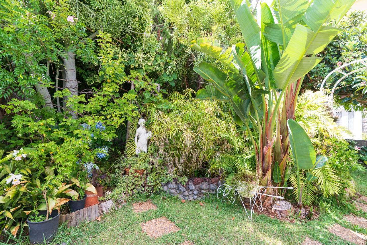 Cyane & Vigo'S Cottage, Caminho Do Massapez, N.º40 阿科达卡列塔 外观 照片