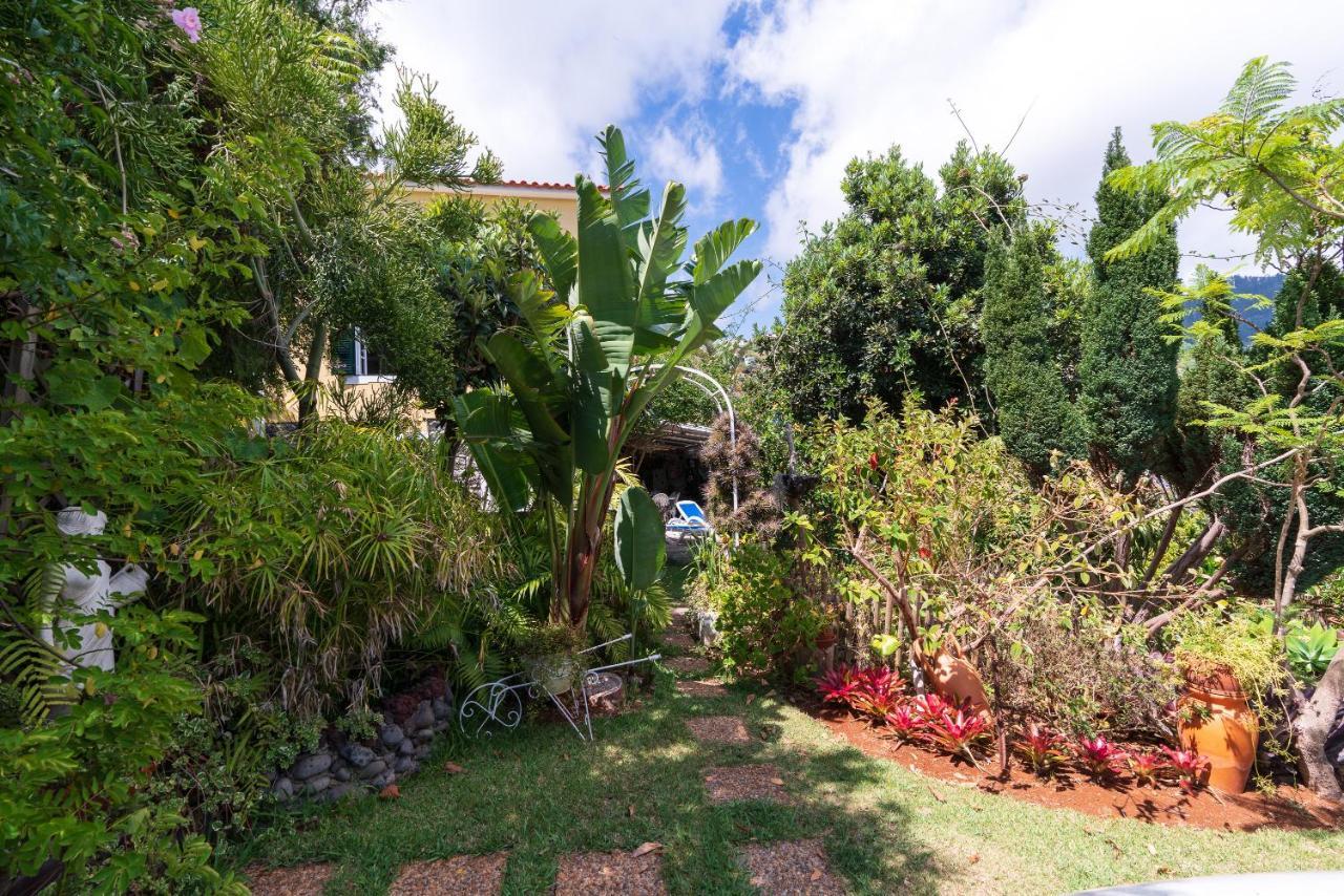Cyane & Vigo'S Cottage, Caminho Do Massapez, N.º40 阿科达卡列塔 外观 照片