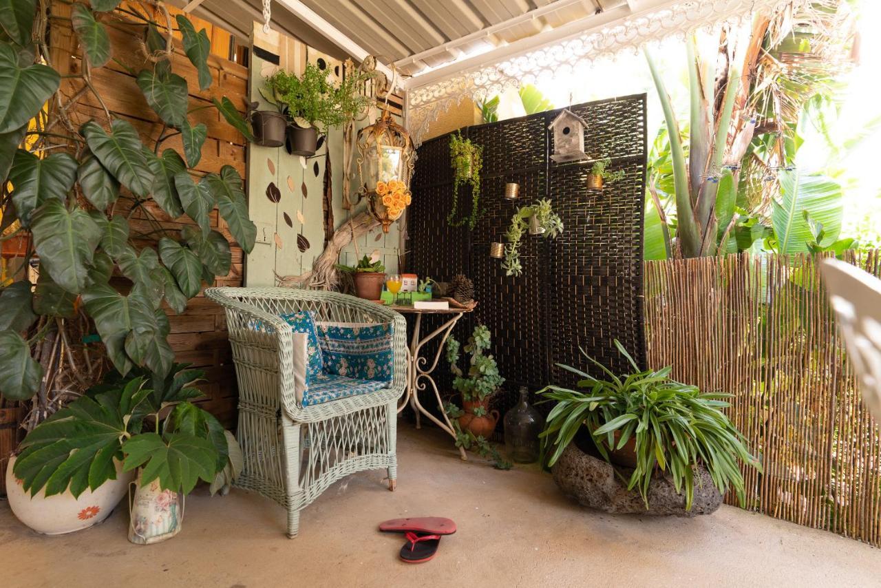 Cyane & Vigo'S Cottage, Caminho Do Massapez, N.º40 阿科达卡列塔 外观 照片